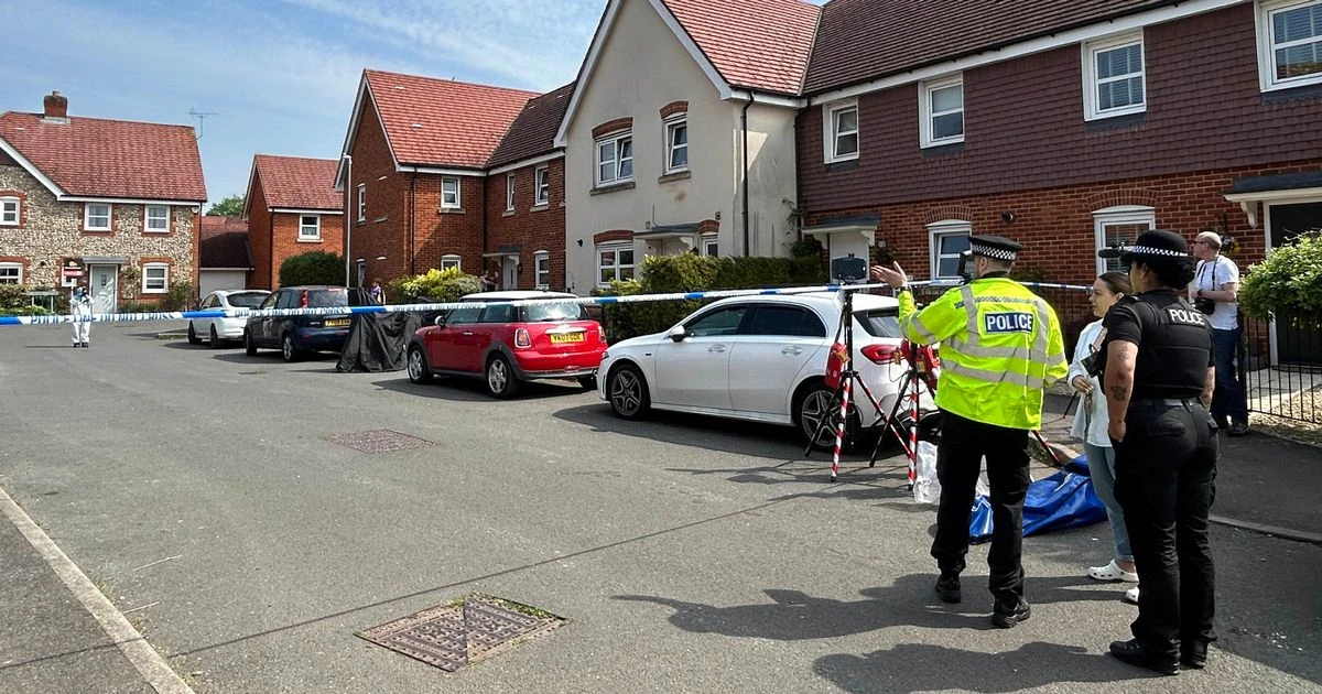 High Wycombe crossbow attack: Police issue major update after officer shot on dutyThames Valley Police