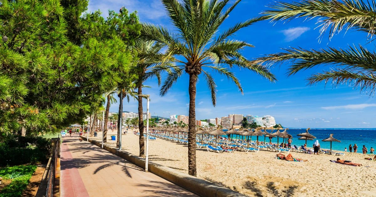 RAF serviceman arrested after 'raping British tourist in Magaluf' during rugby holiday