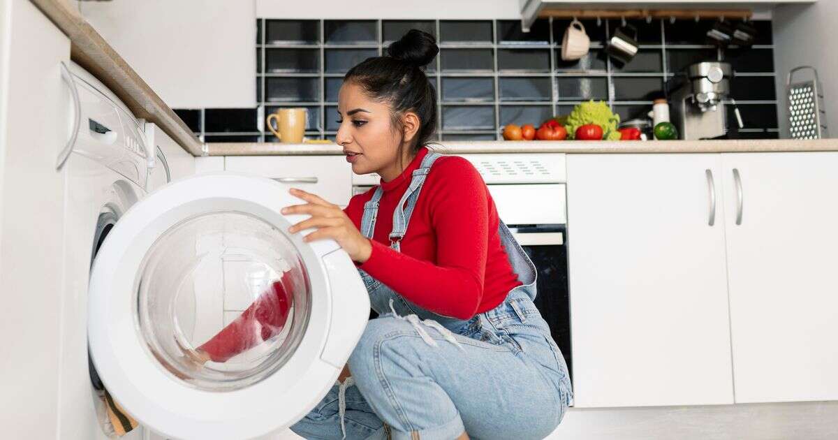 'I banished washing machine smells for good using toothpaste and a 17p hack'Cleaning