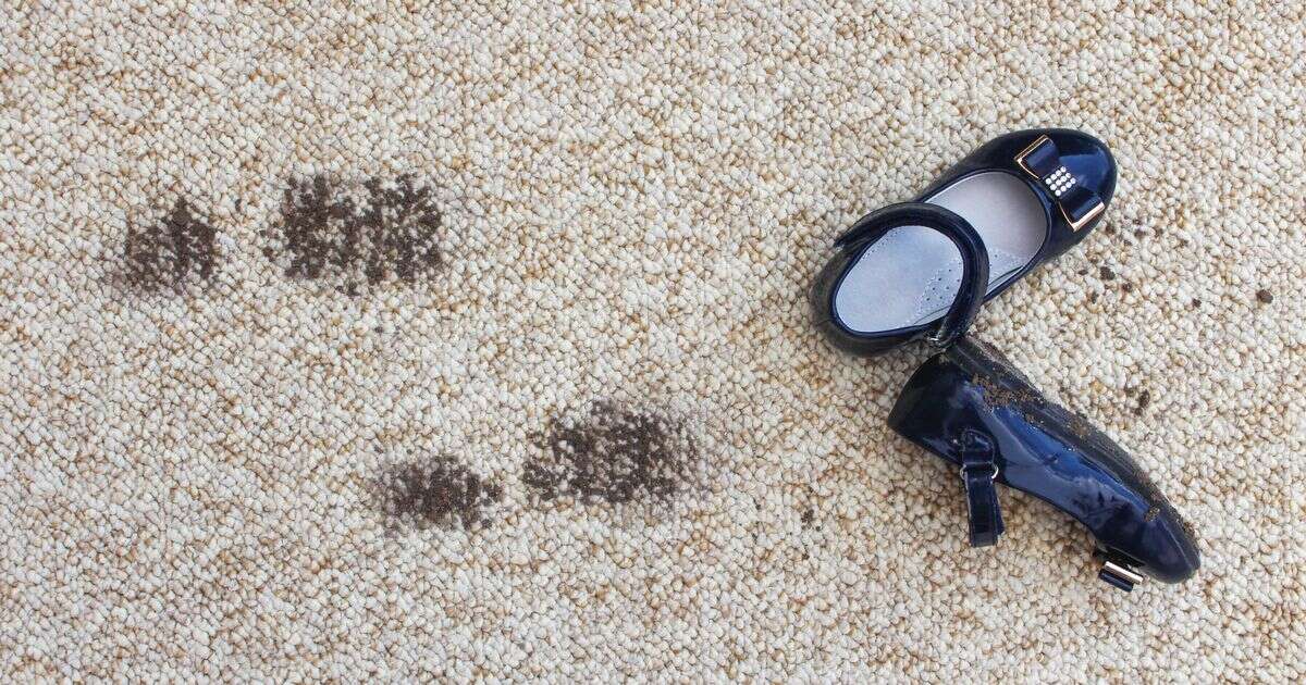 5p carpet cleaning hack that is saving parents a fortune