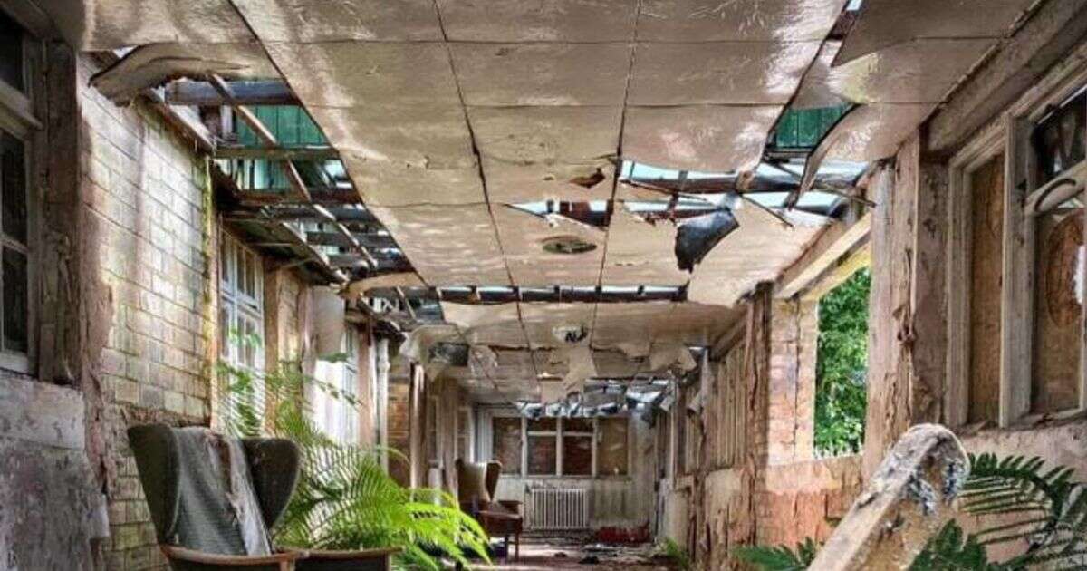 Inside creepy abandoned hospital with plants growing through the walls