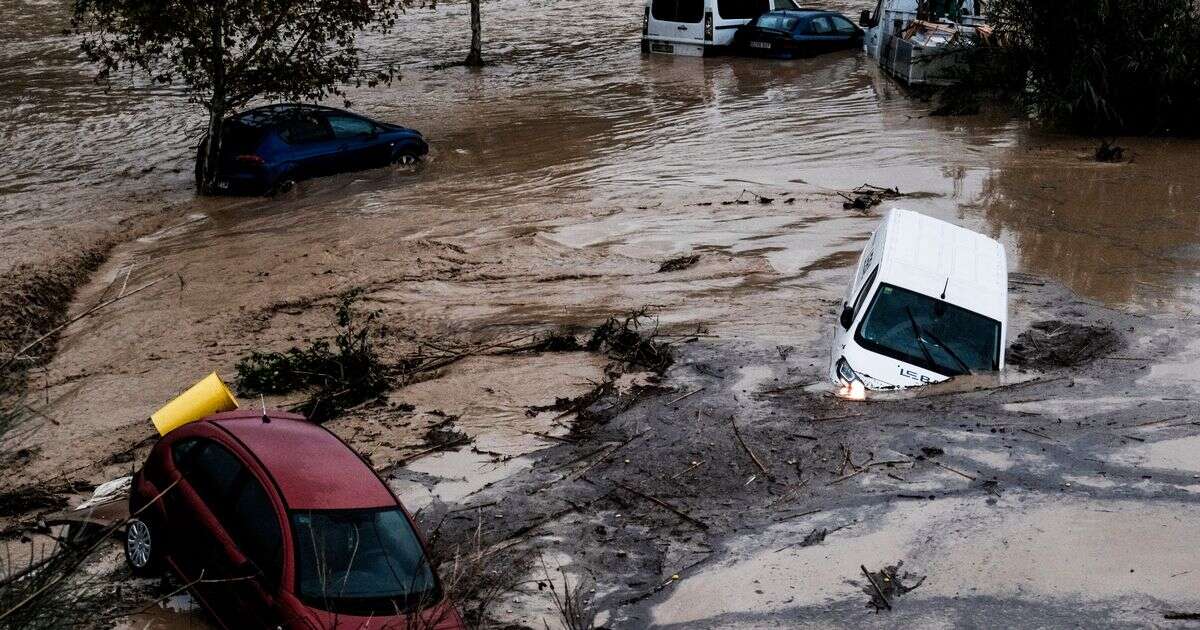 'My son called me from roof to say goodbye as deadly Spanish floods ripped through Valencia'