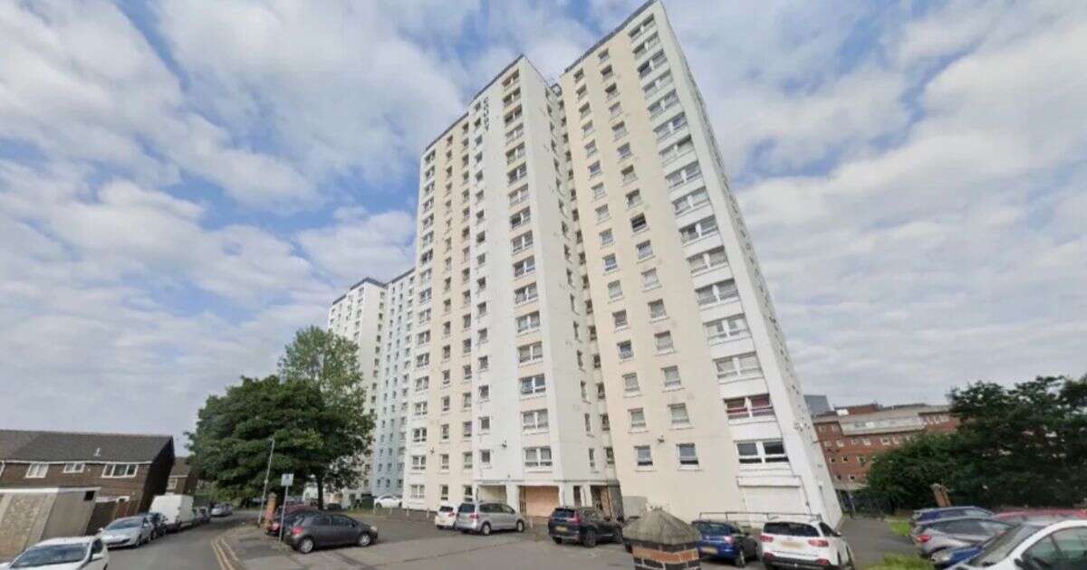 Leeds tower block horror as pregnant woman plummets 17 storeys and newborn baby fighting for lifeLeeds