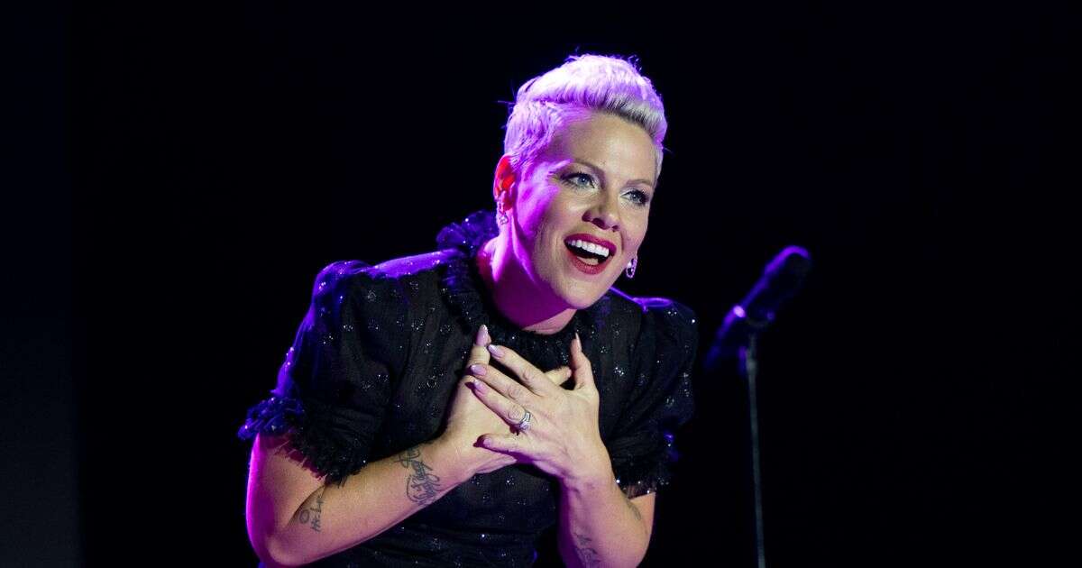 Pink fans are only just realising racy meaning behind songstress' name