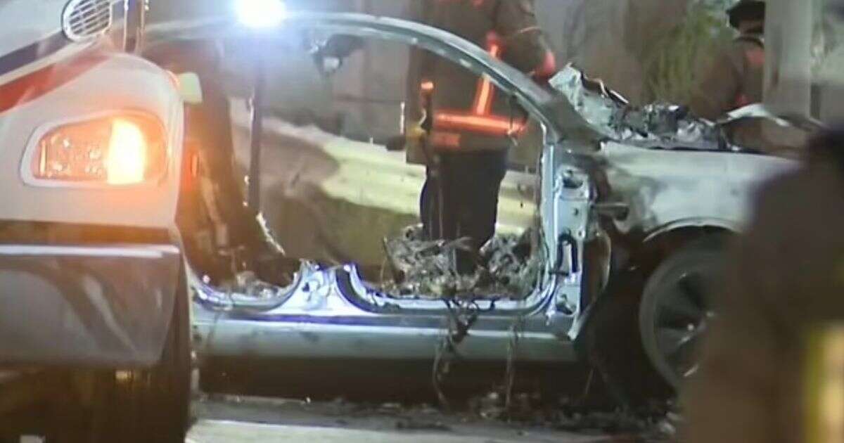 Terrified friends burned to death in Tesla as electronic doors wouldn't open after crash