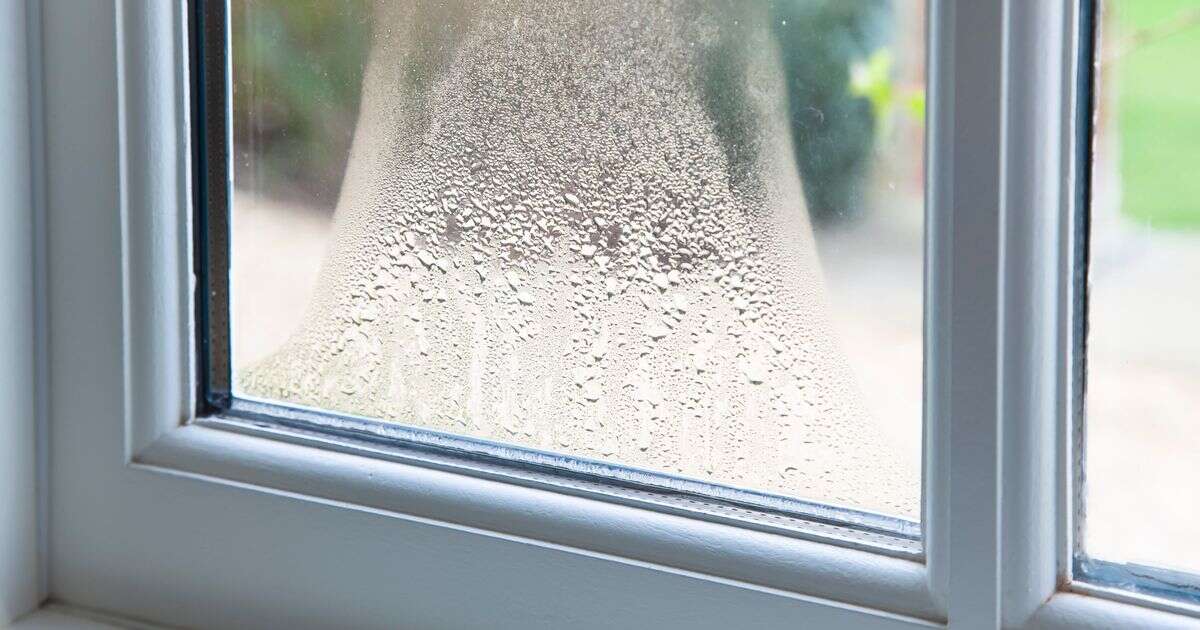 Three biggest causes of window condensation and how to fix it, according to expertCondensation