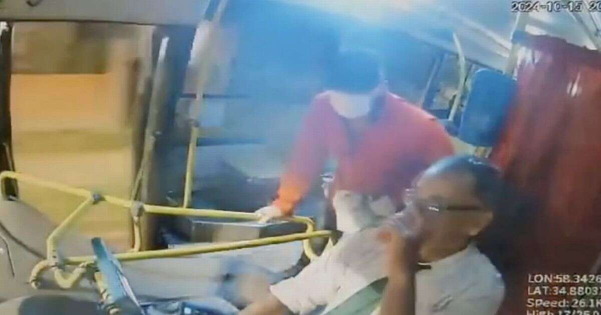 Terrifying moment passenger stabs bus driver to death in revenge over affair with wife