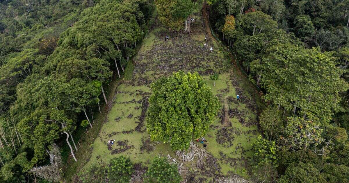 'World's oldest pyramid' discovered in Java jungle amazing archaeologists