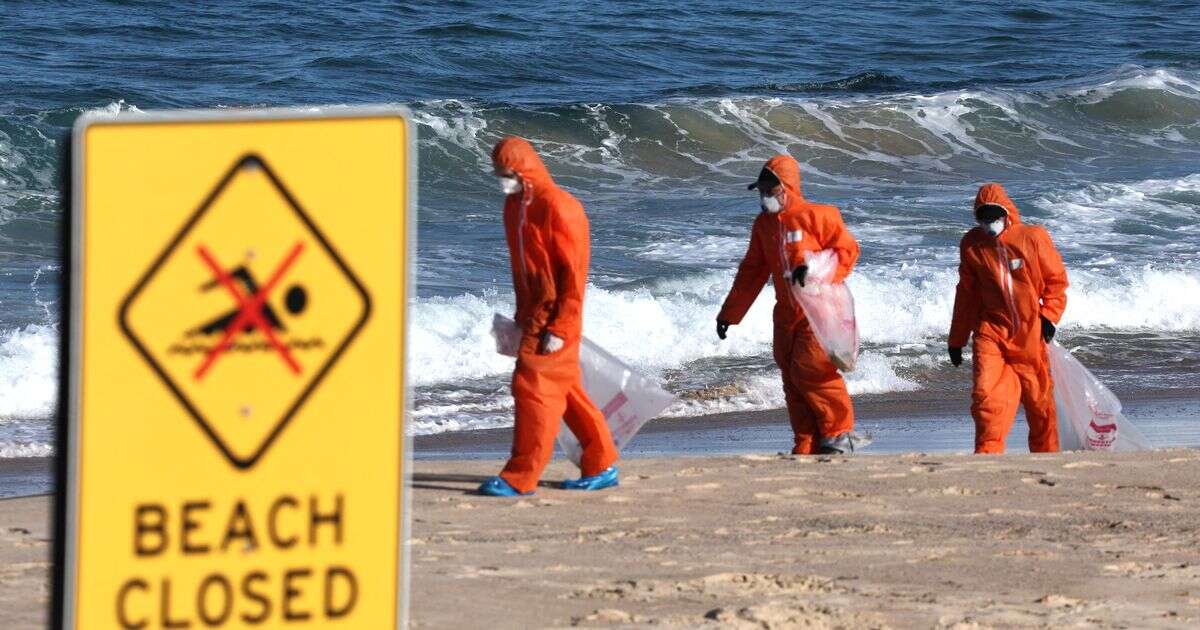 Mysterious tar balls wash up on Sydney beaches and force beach closures