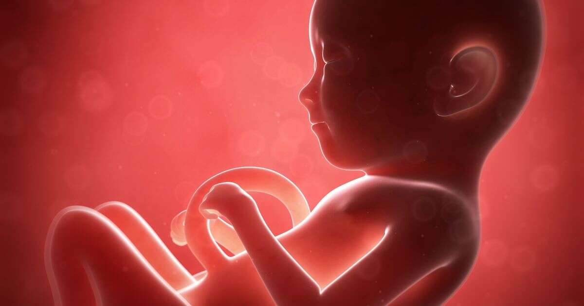 opinion'One thing inside mother's stomach affects size of unborn baby's brain'