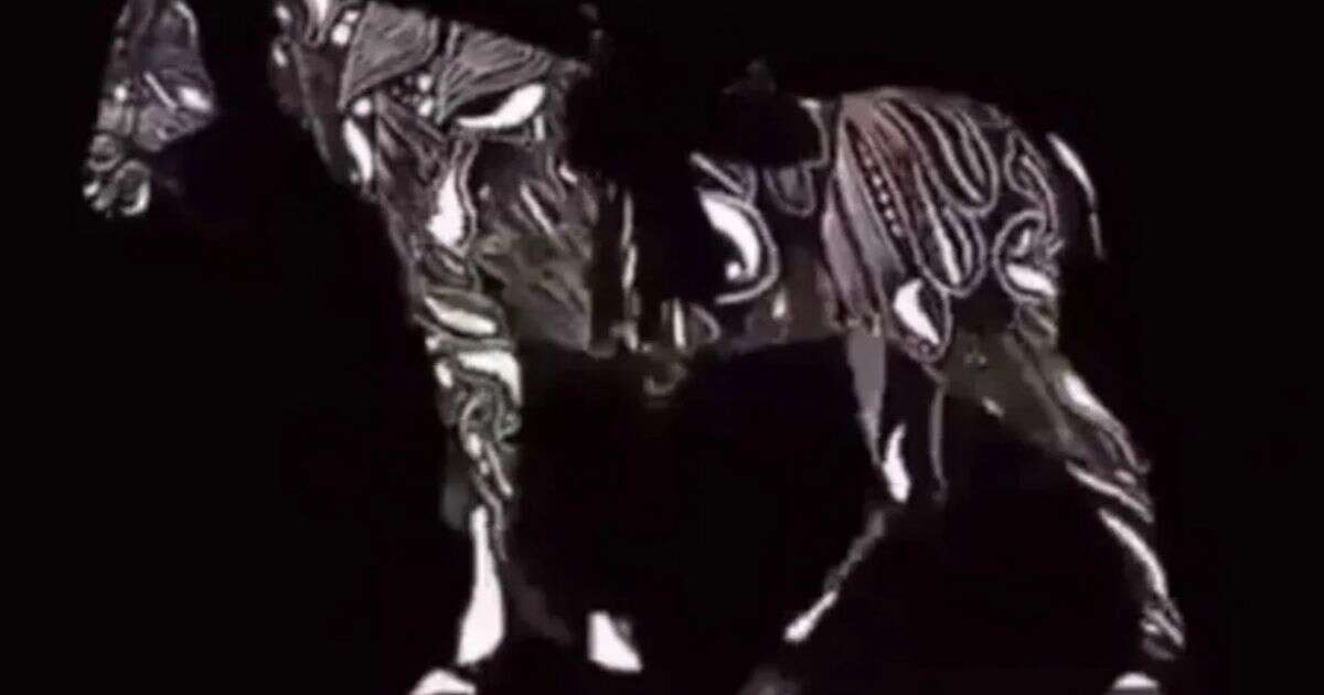 'Baffling' optical illusion of a horse leaves the internet totally confused