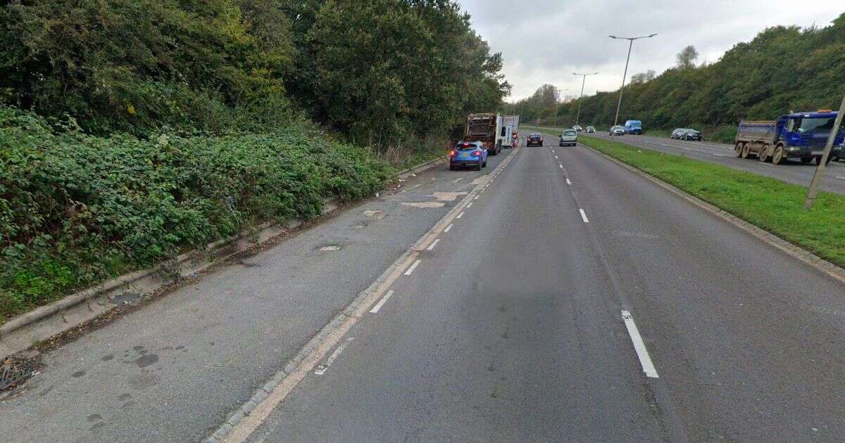 Manhunt after bogus cops use cars to ambush driver on motorway before shattering his jaw