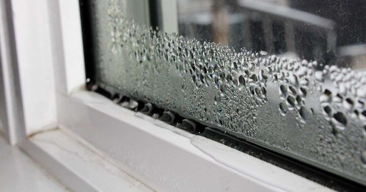 Put bowl of 59p ingredient near your window to rid condensation for good