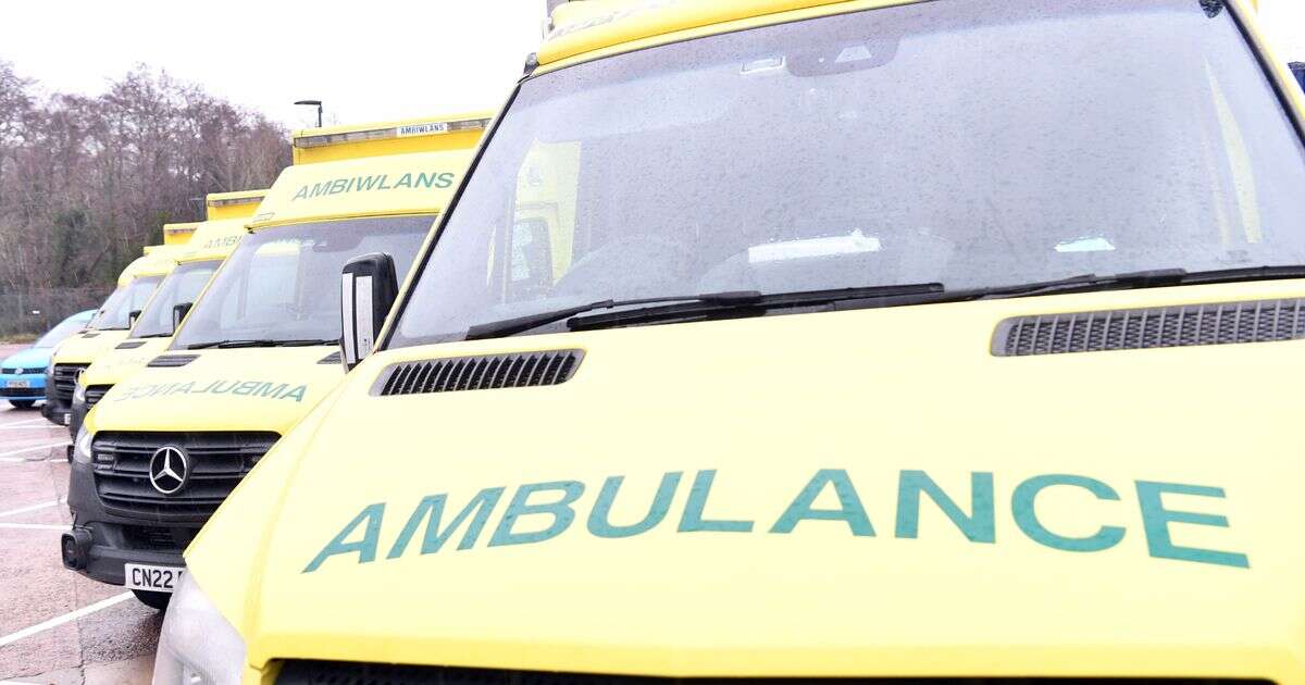 NHS Trust slammed after pensioner dies waiting more than nine hours for ambulance