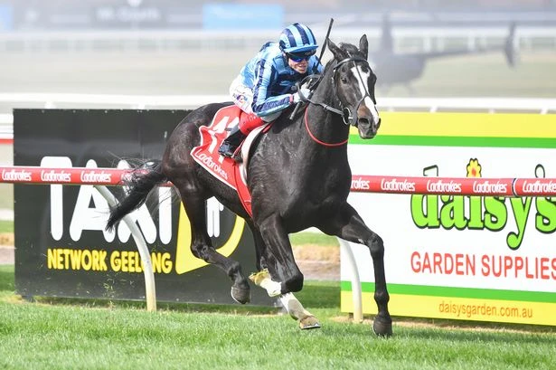 Jason Heavey's expert horse racing tips for Saturday, June 28 – 'he just loves the track'