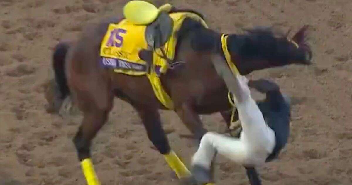 'Never seen that in 30 years' - Japanese Breeders’ Cup horse caught up in major scare