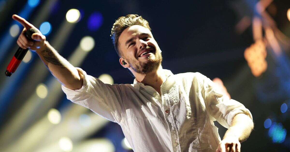 Liam Payne fans spot 'heartbreaking' message in star's final lyrics