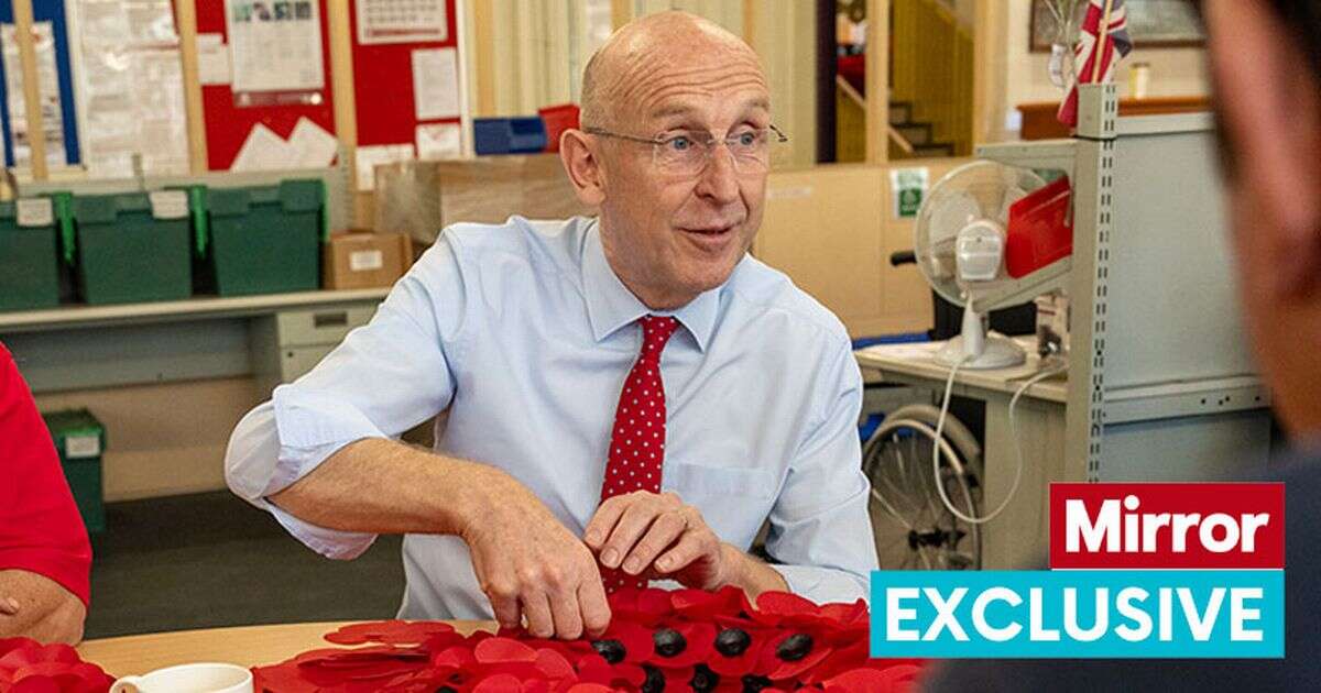 Inside Remembrance Day poppy factory where ex-­servicemen and women do vital job