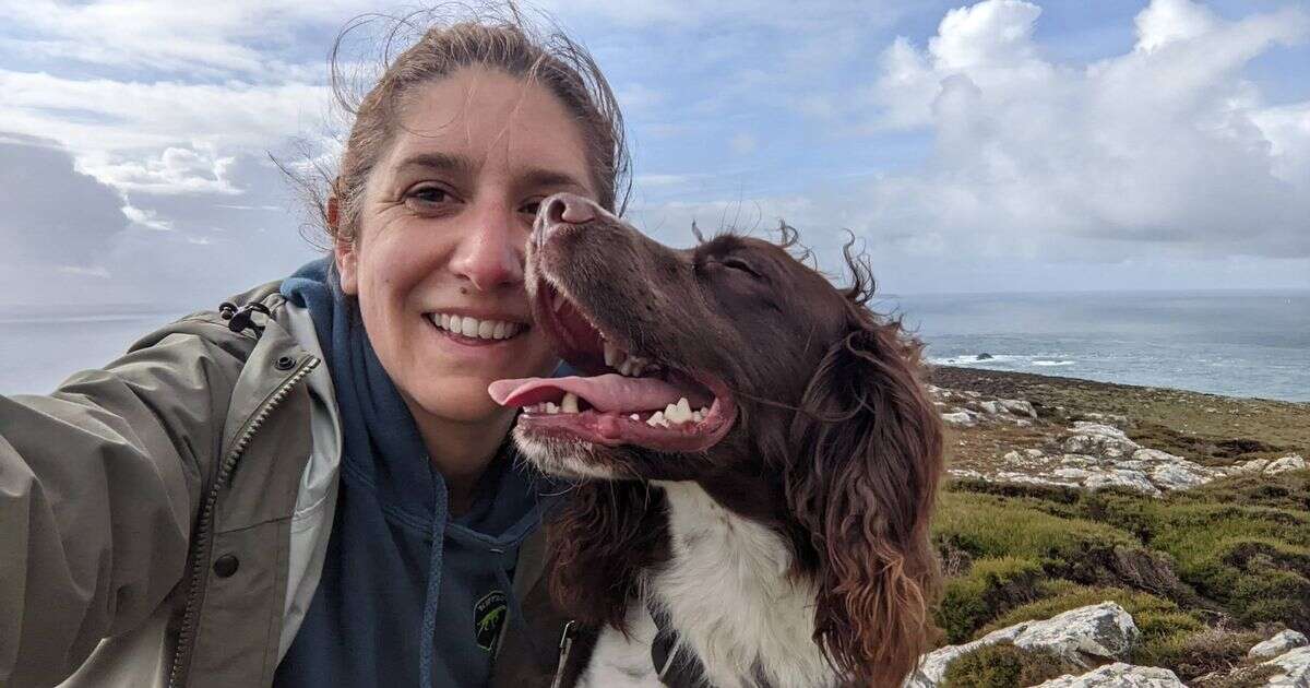 Hero dog honoured for role in protecting endangered seabirds from predatorsEnvironment