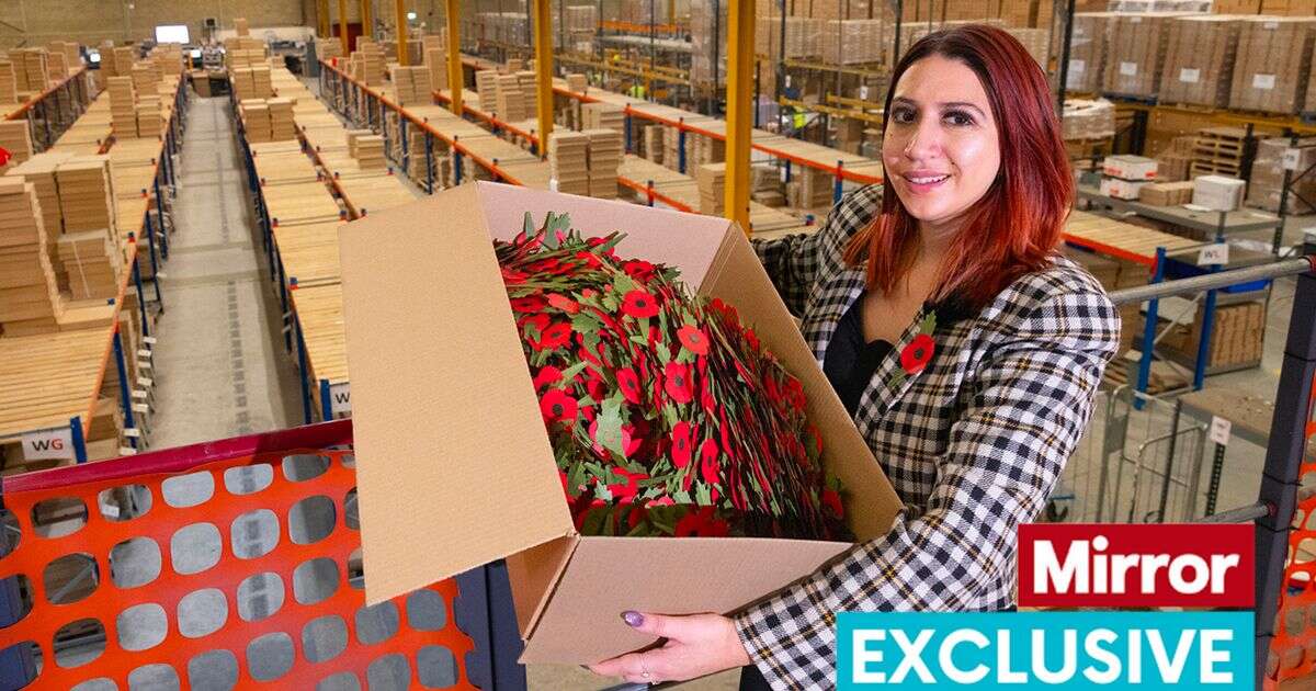 Poppy Appeal launches today - see inside the factory where the iconic flowers are made