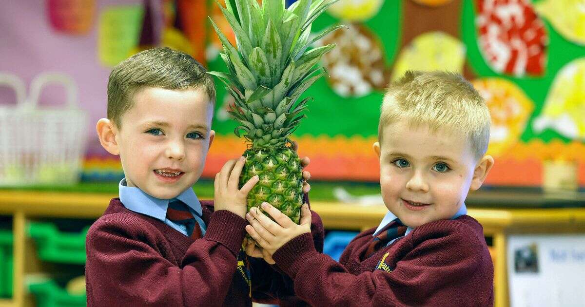 Kids can get at least one piece of fruit and veg a day through special Tesco gift card