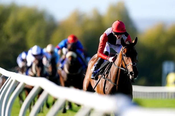 'He can motor home at the M62 track' – Jason Heavey's racing tips for Tuesday