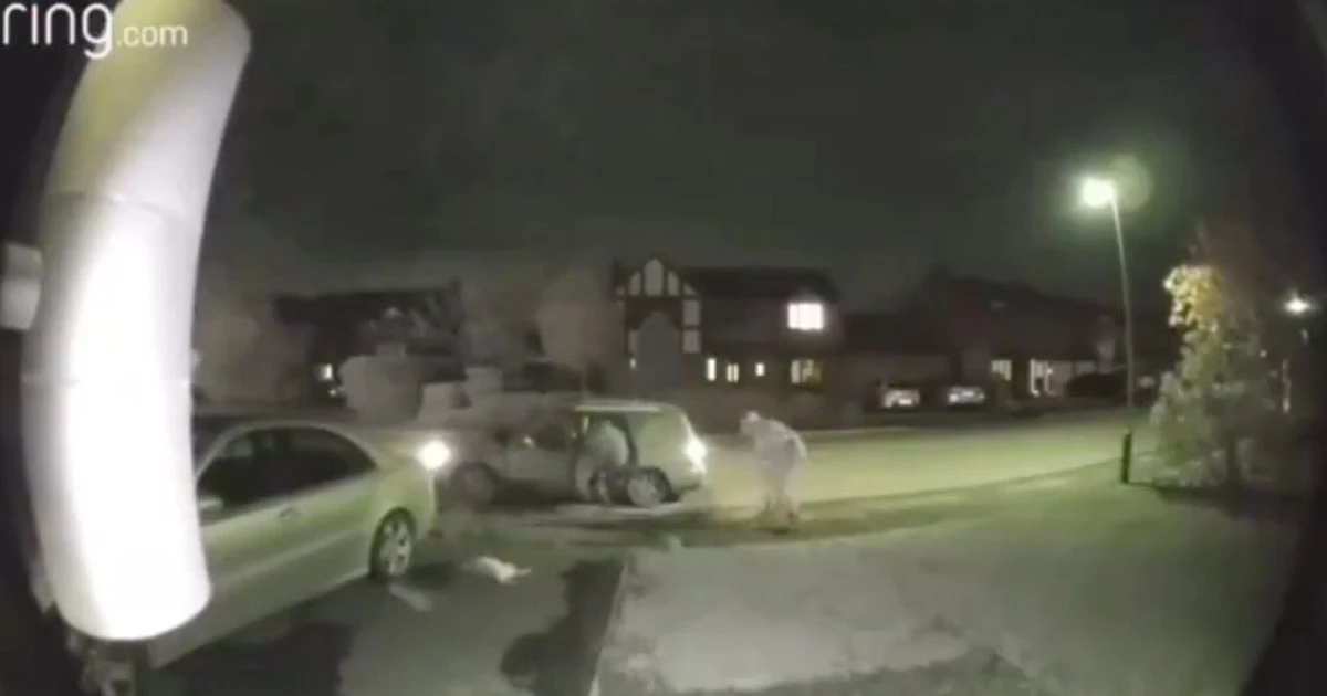 Thugs hurl dead rabbits at man's house and car in sickening driveway attack