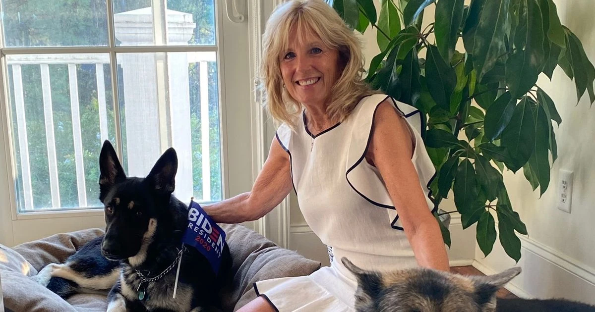Meet 'First dogs' Major and Champ who will move into White House with Joe Biden