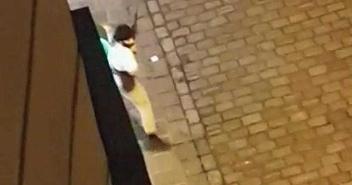 Vienna terror attacks: All we know after four killed in chilling gun rampage