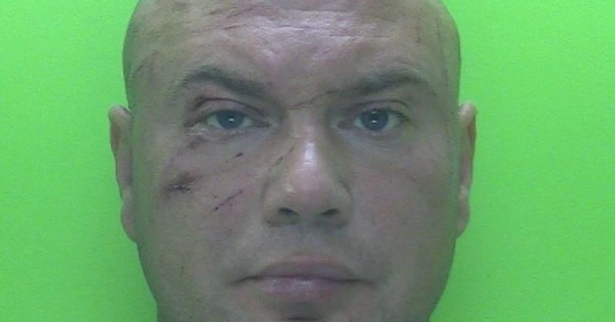 Grandmother lucky to be alive after police chase driver ploughs into her on day dad died