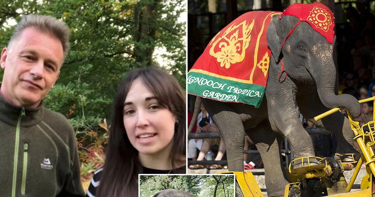 Chris Packham and Megan McCubbin demand law to end brutal elephant tourism
