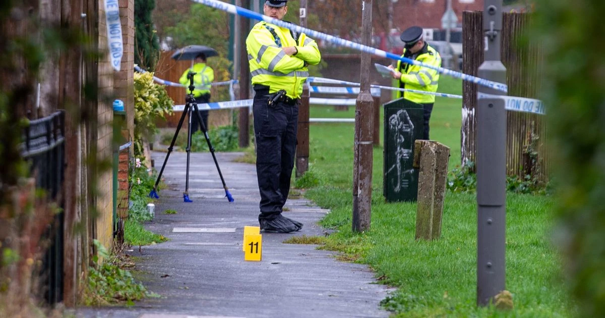 Man in 20s dies after 'large fight' near playing fields with six arrested over 'murder'