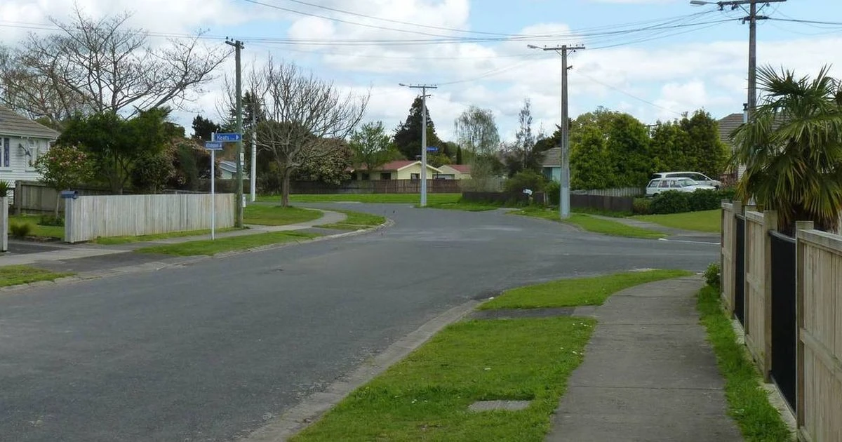 One-day-old baby dies after being mauled by dog who tried to bury him in garden
