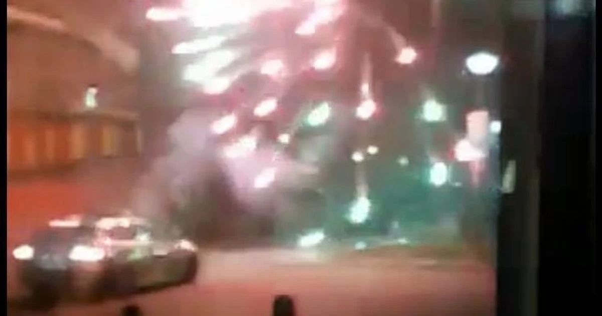 Animal hospital pelted with fireworks as terrified cats and dogs cower inside