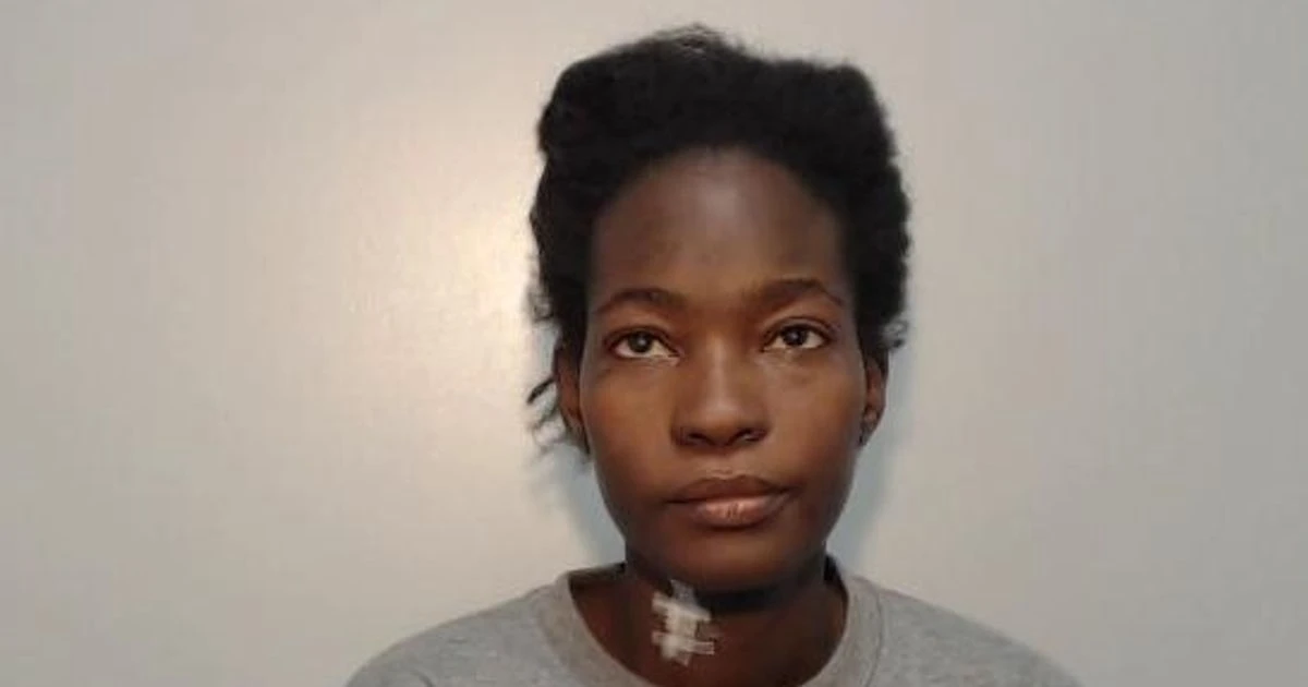 Woman tried to kill her housemate 'as part of desperate bid to stay in country'