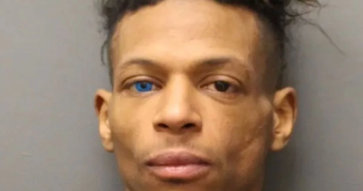 Moment burglar kicks policewoman down stairs after breaking into 90-year-old's home