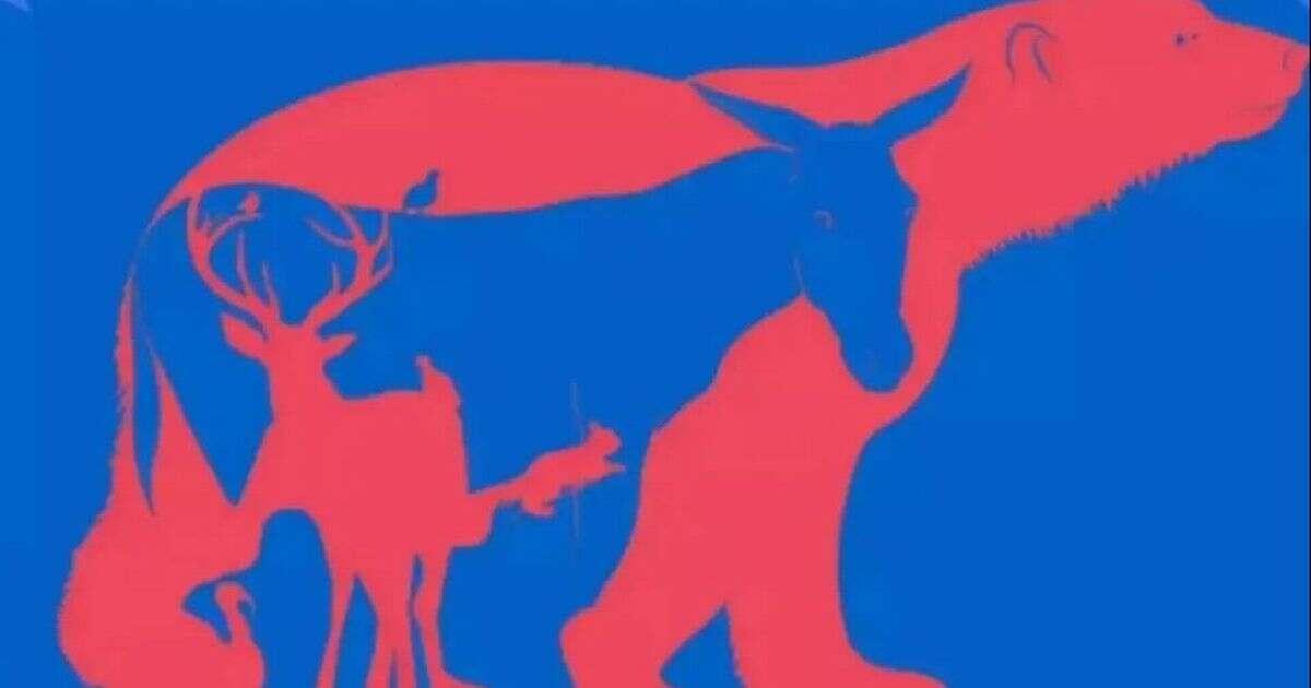 You've got sky high IQ if you can see all eight animals hidden in this brainteaser