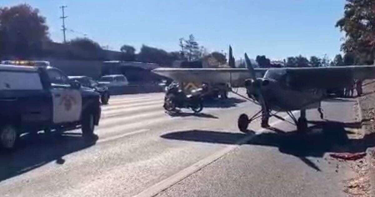 Plane that ran out of fuel makes emergency landing on busy motorway during rush hour