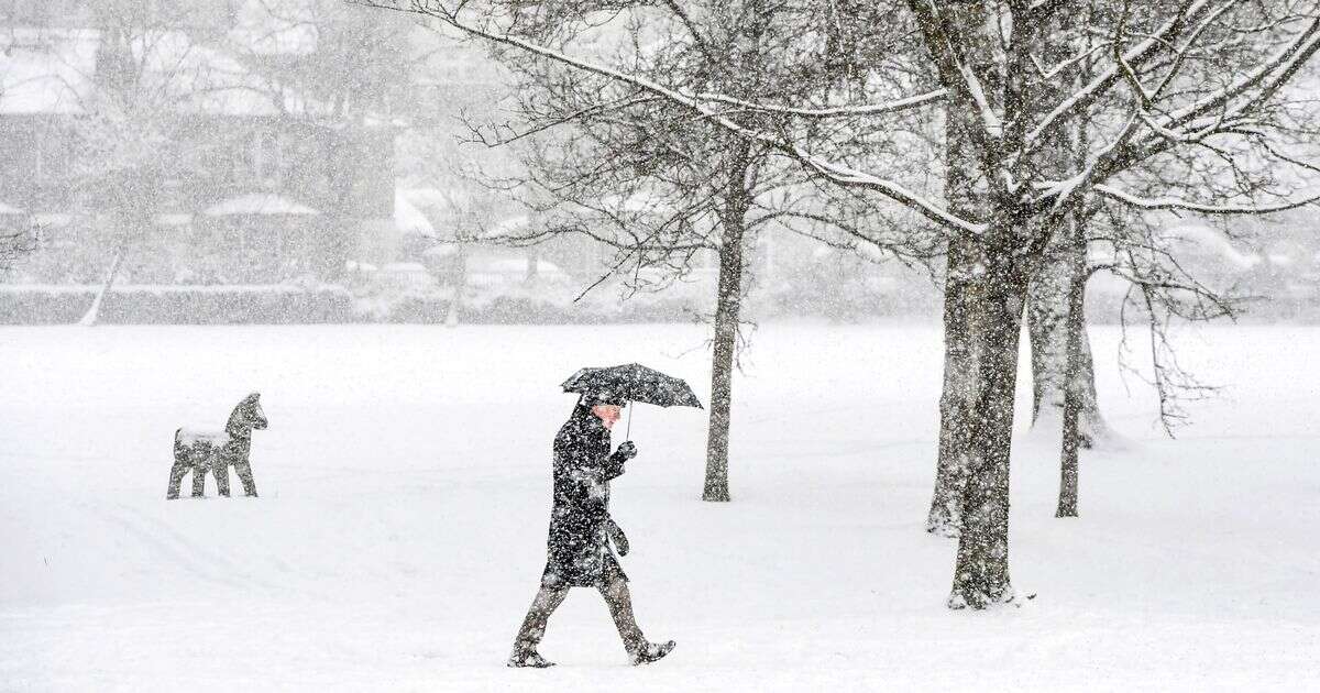 Snow weather map shows which parts of UK to be hit as temperatures plummet