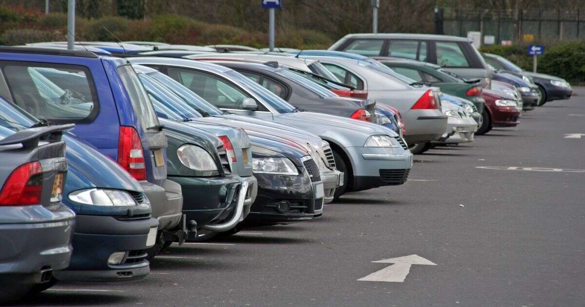 You're parking wrong - driving instructor shows 'perfect' reverse bay park method