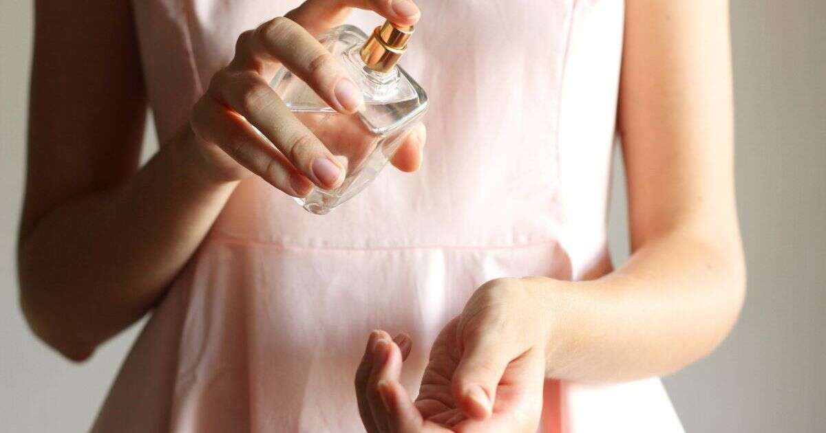 'Feminine and classy' Estee Lauder perfume hits sale as shoppers rave it 'lasts over 24 hours'