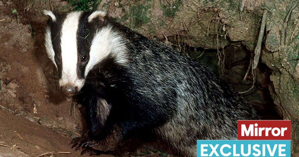 Nearly 5,000 UK wildlife crimes in just one year but convictions at all-time low