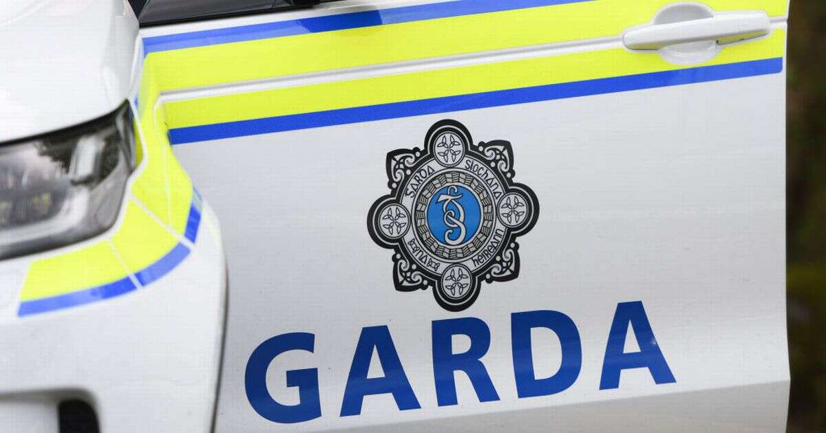 Robertstown: Boy, 15, killed in early morning hit-and-run horror as police make urgent appeal