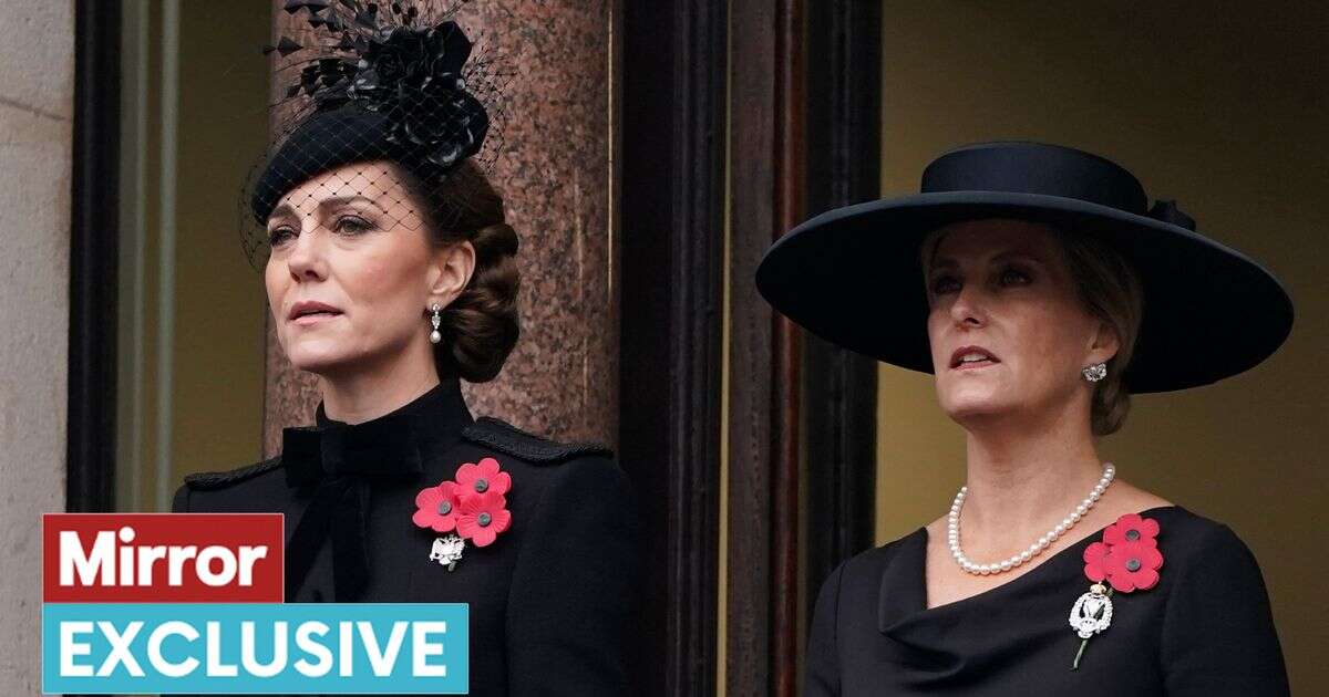 Kate Middleton's 'royal sister' Sophie sends secret message to William at Remembrance