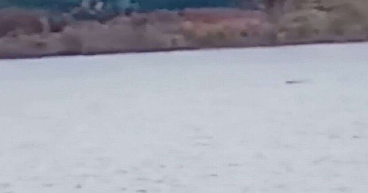 'Loch Ness Monster' in jaw-dropping footage that 'couldn't be anything else'