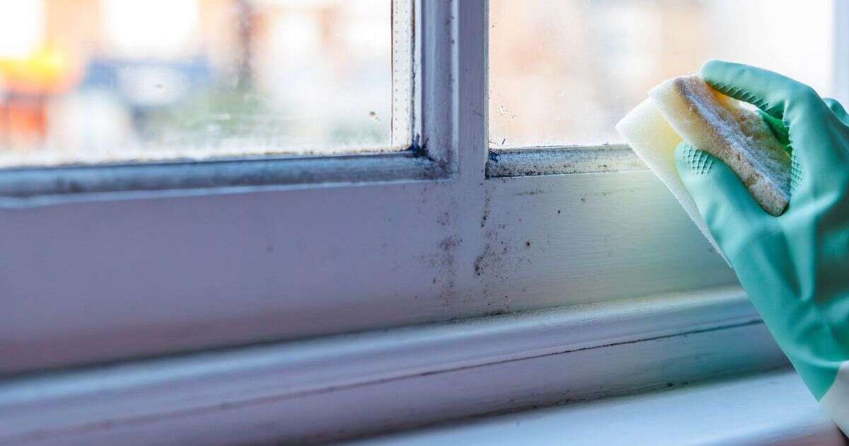 Popular 'mould-removing' hack is actually making black mould grow quicker– here's what to use