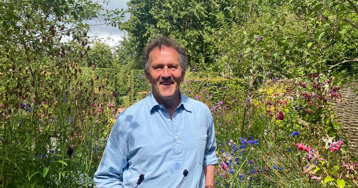 Monty Don's 'genius' method for getting algae off patios with ease