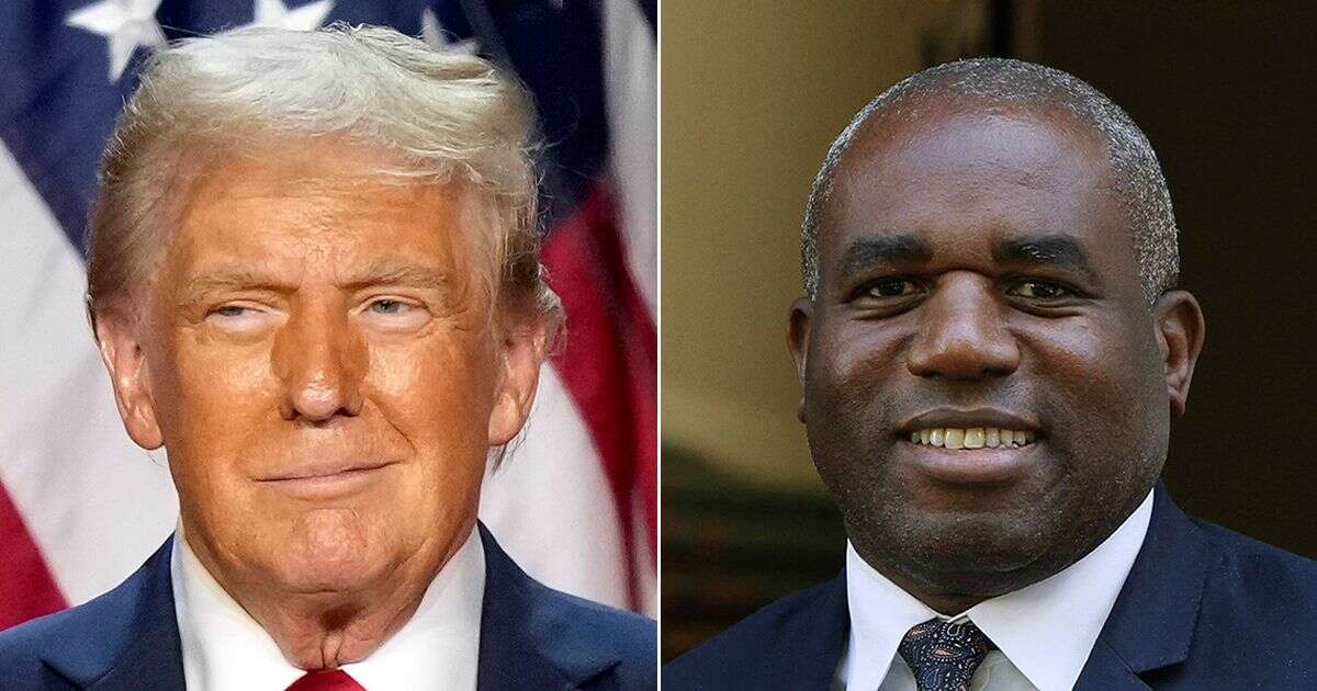 Inside Donald Trump's dinner with David Lammy after neo-Nazi comments - 'very gracious'