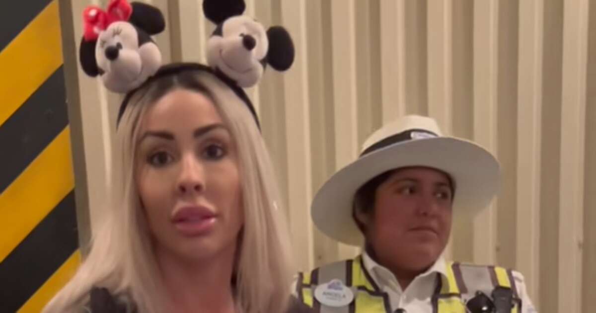 Woman wears 'attention-seeking' outfit to Disneyland and instantly regrets it