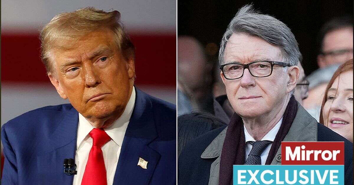 Donald Trump could block Peter Mandelson as ambassador over EU ties